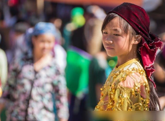 交通基本靠走,通讯基本靠吼,治安基本靠狗!