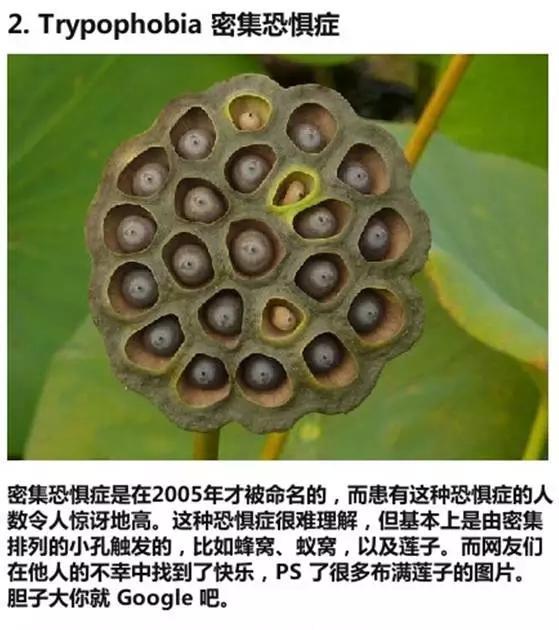 20种常见恐惧症,你中枪了吗?