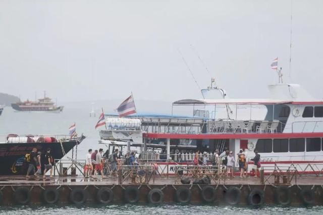 17年泰国大象事件,18年普吉岛翻船事件,你还会