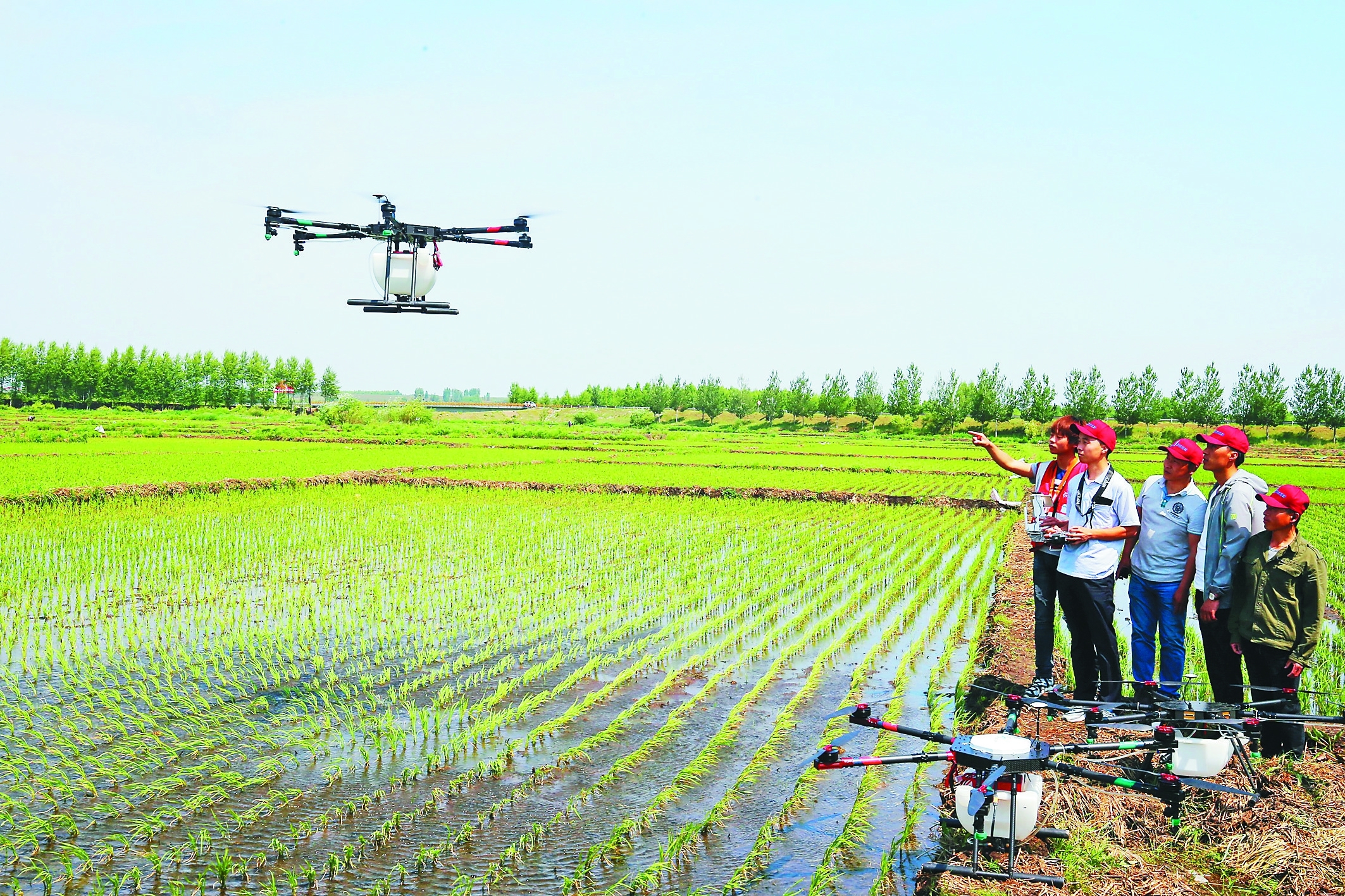 怎么加入飞防植保公司 t01254c0d71b03ee1af.jpg?size=2126x1417