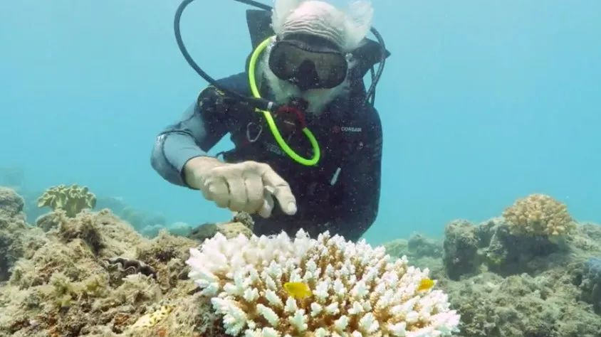 敲黑板！气候变化正在威胁全球生物多样性！