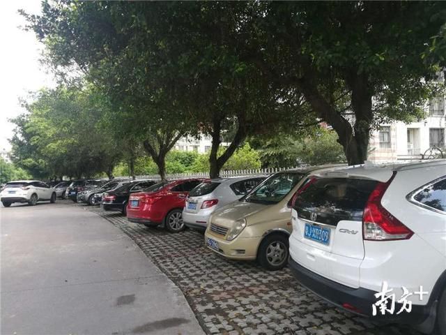 鹤山碧桂园花岸小区物管出租露天车位遭业主反
