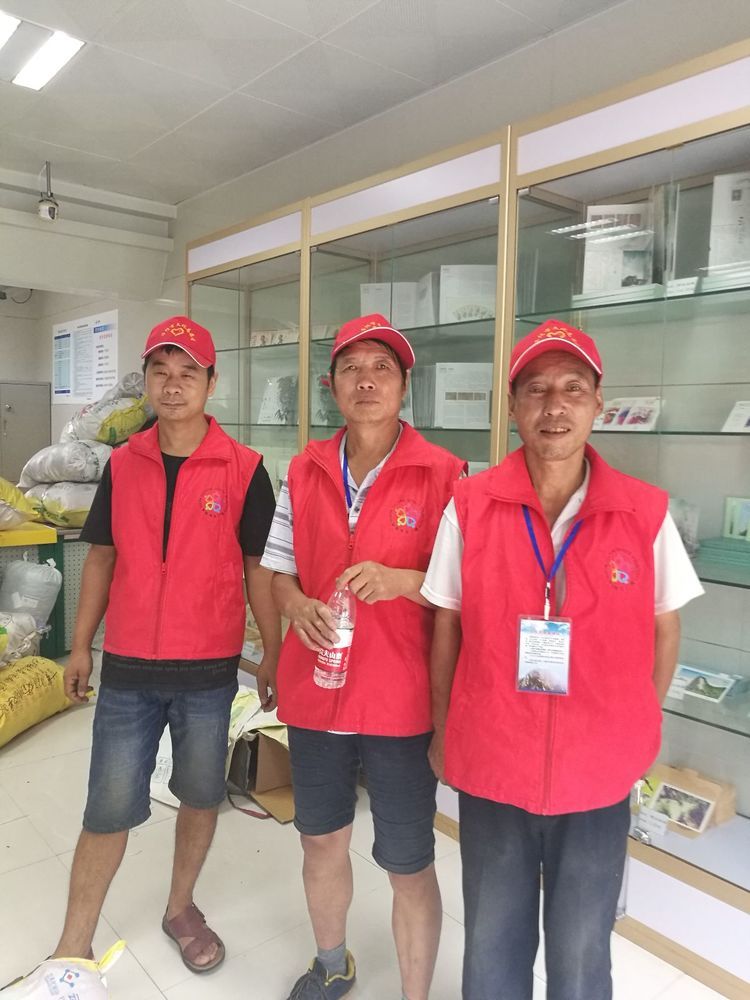 华阴市文化志愿者服务中心向甘肃文县灾区邮寄