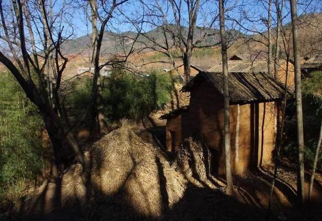 亲生母亲卖掉5岁不会说话的儿子,15年后母亲也