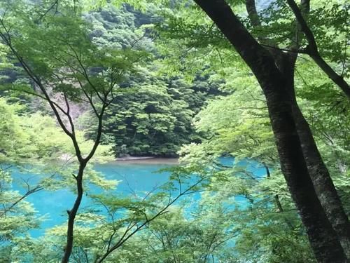 静冈富士周游记之第二天:什么忍野八海?这里才