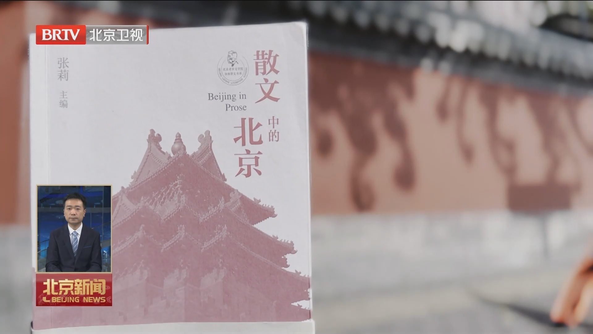作家眼中的文化北京丨张莉：我与地坛书市的故事