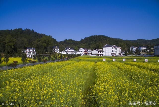 农村宅基地要规划了,每户可领18万,你知道吗?