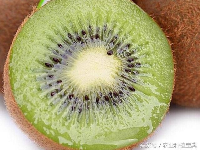 猕猴桃千万不能这样吃!猕猴桃什么时候吃好