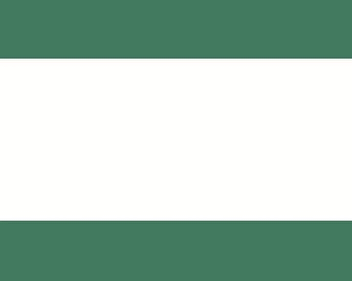 西游记的故事25通天河的大鱼怪第5集