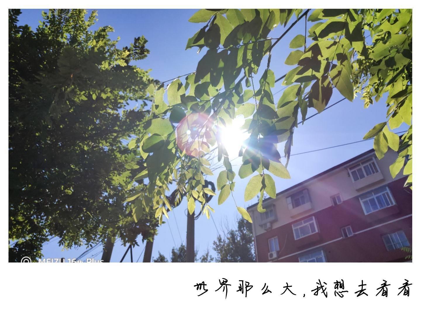 用了1个月,七大角度告诉你,魅族16th Plus值不