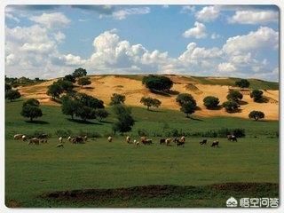 现在的内蒙古和蒙古国在文化上有哪些差异?