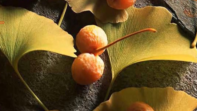 《养生堂》20180220行万里路 过健康年之如皋