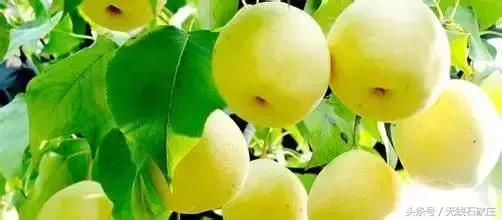 2018最新排行榜!石家庄入围二线城市,你怎么看