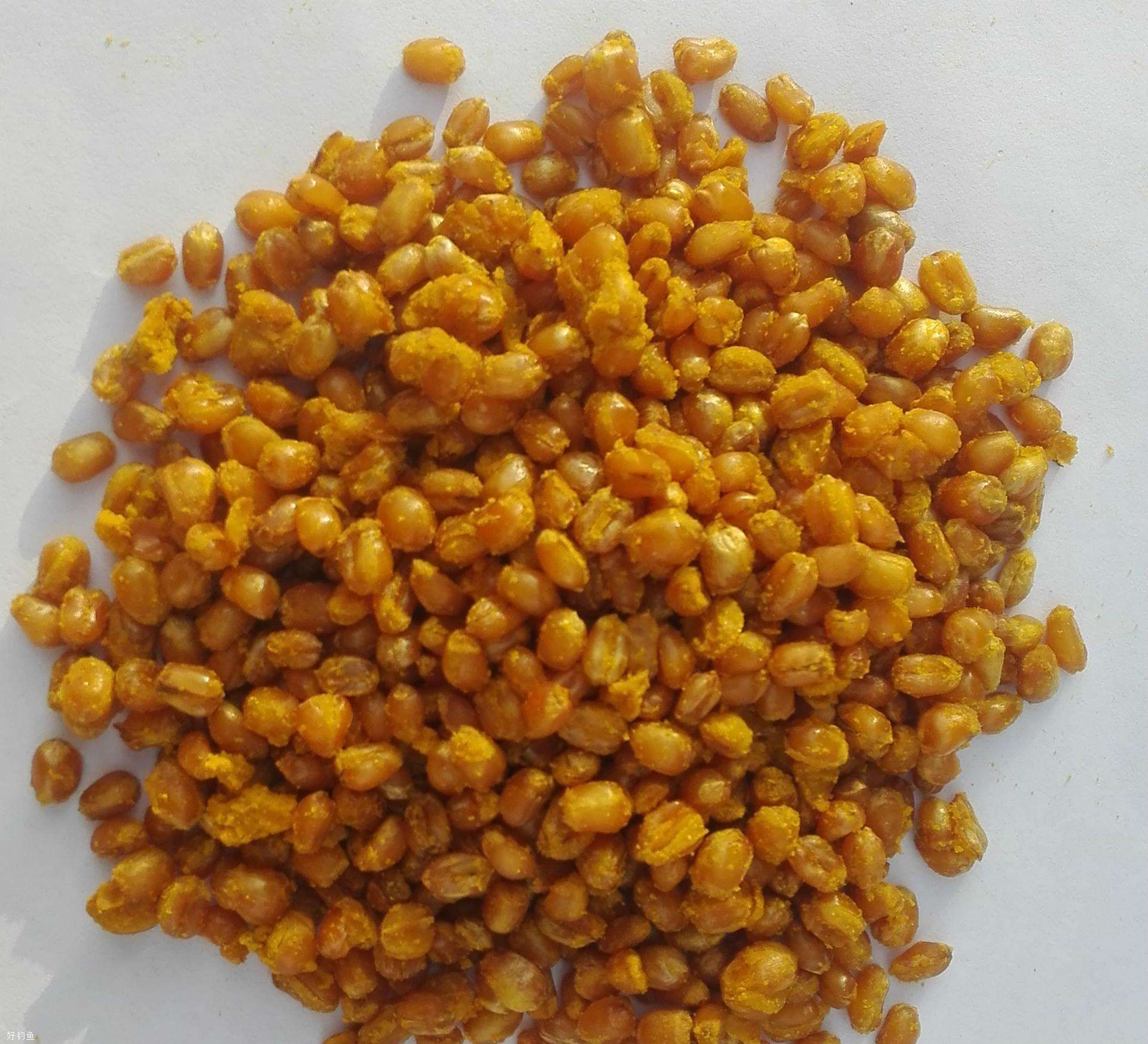 巧用小麦自制鱼饵,夏季钓鱼特别好用