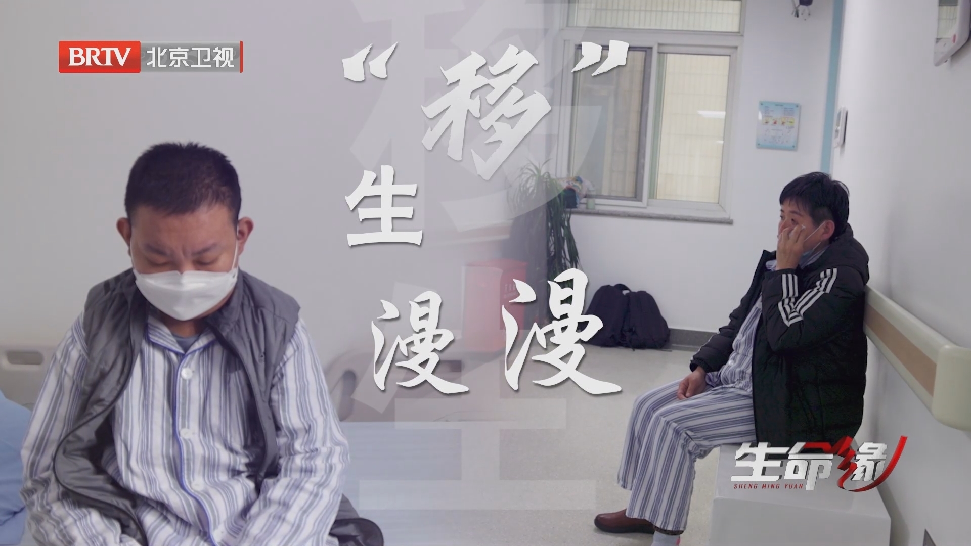 《生命缘》20240507“移”生漫漫
