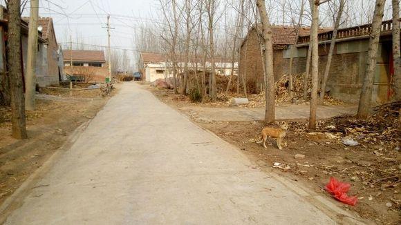 农村创业项目,创业好项目有哪些,盘点2018年赚