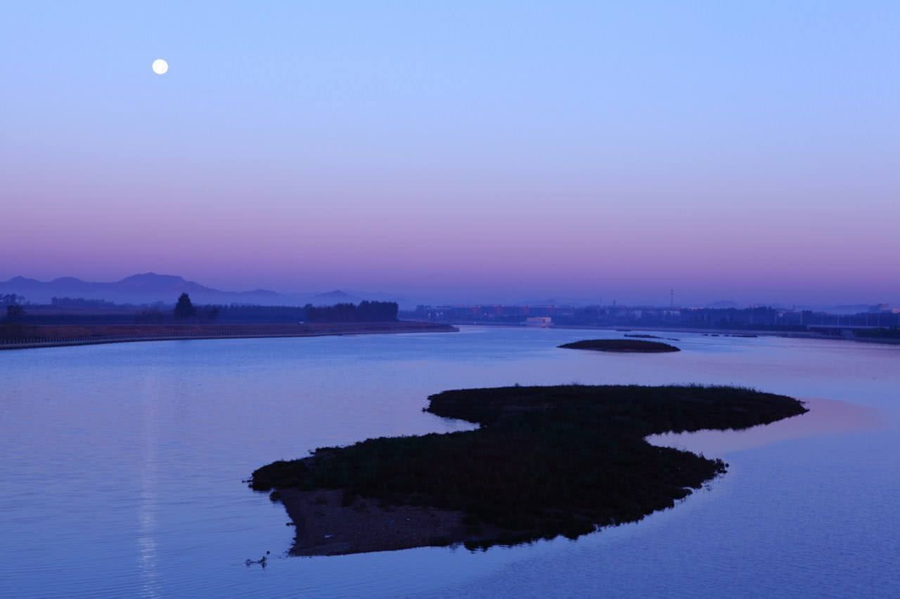读睡古诗词 柳絮飘残杜宇啼,水流烟淡雨离披
