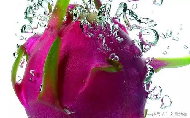 红心火龙果和白心火龙果的区别是什么?