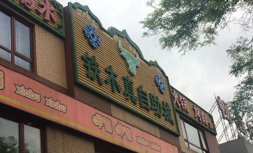 铁木真平价自助成问题集中营