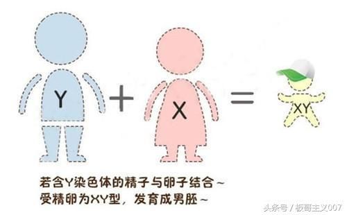 生男生女计算器 真的准确吗 不服来战 祝广大准