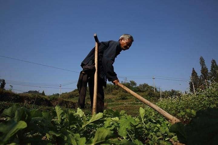 注意:一次性补缴15年养老保险政策已经取消!没