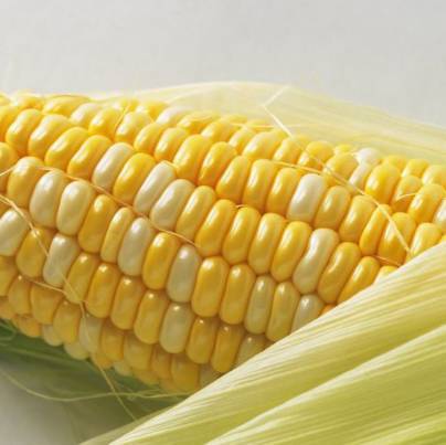 孕期吃鹅蛋能去胎毒,宝宝不湿疹除黄疸?纯属胡