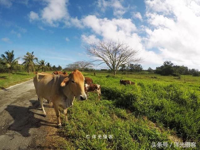 马尔代夫不安全,海岛游选塞班岛,美国属地,中国