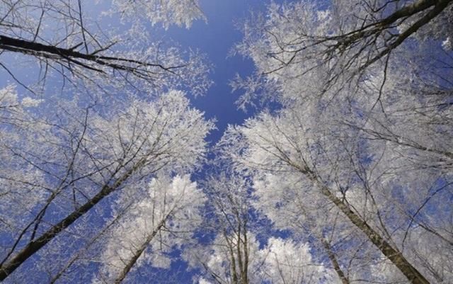 一生一定要去漠河感受零下四十度的冷