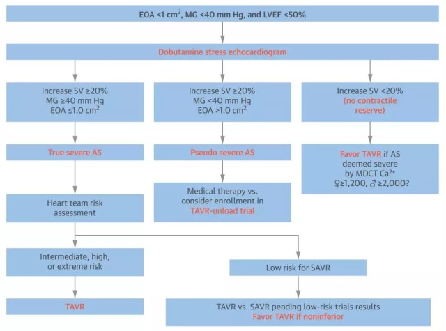 TAVR 治疗低射血分数、低跨瓣压差重度主动脉
