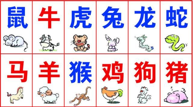 生肖与生肖,相冲的后果