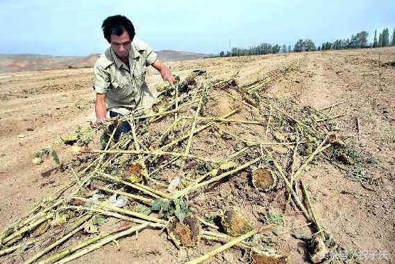 农村宅基地要收费了!这3种宅基地怕是逃不掉了