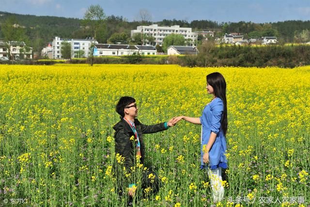 农村流传的这些相亲俗语,你知道几个?