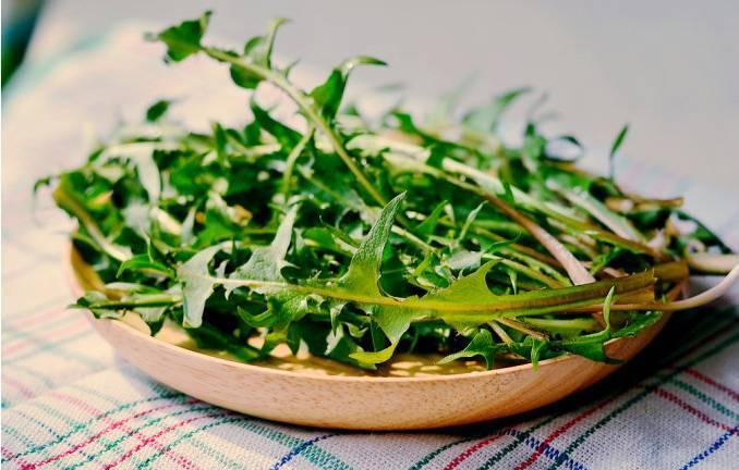 春季最好的下火草--蒲公英,食用方法大全与禁忌! 春季最好的下火草--蒲公英,食用方法大全与禁忌!