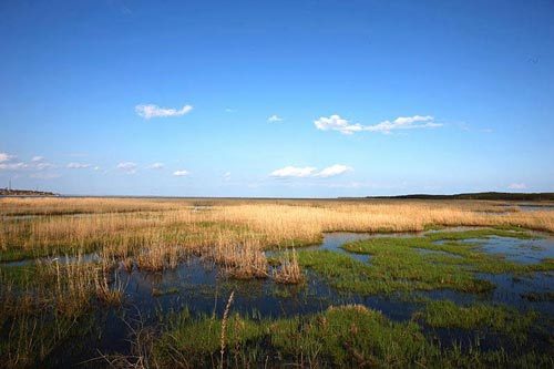 鞍山将申报两处特色湿地公园 喜欢湿地景观的有福了