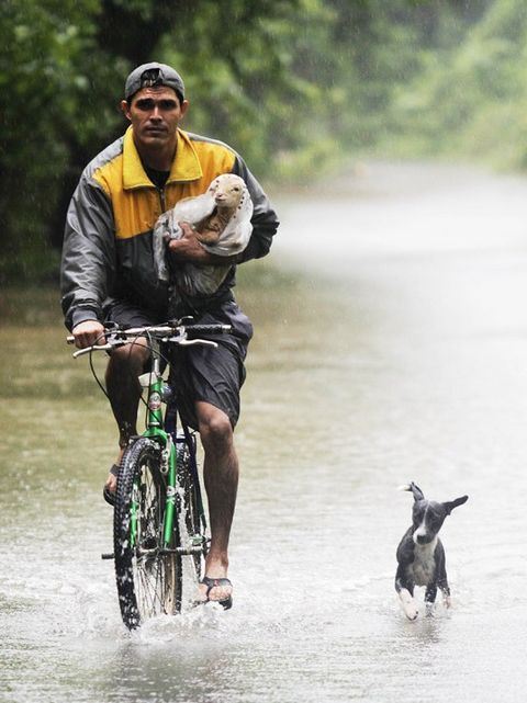 世界上人和动物感动瞬间,非洲保育员陪犀牛宝