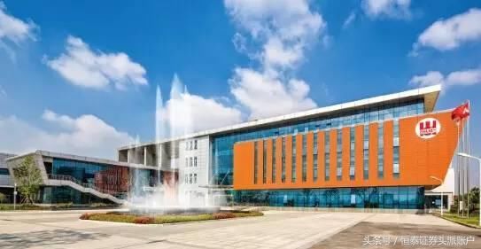 神话破灭!这家上市公司告诉你:炒股高手是如何