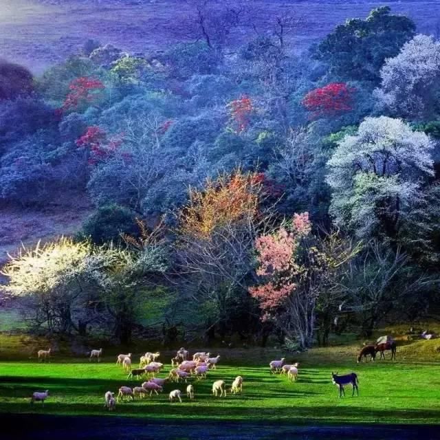 市长与曲靖一起刷爆朋友圈!流利英文对答记者