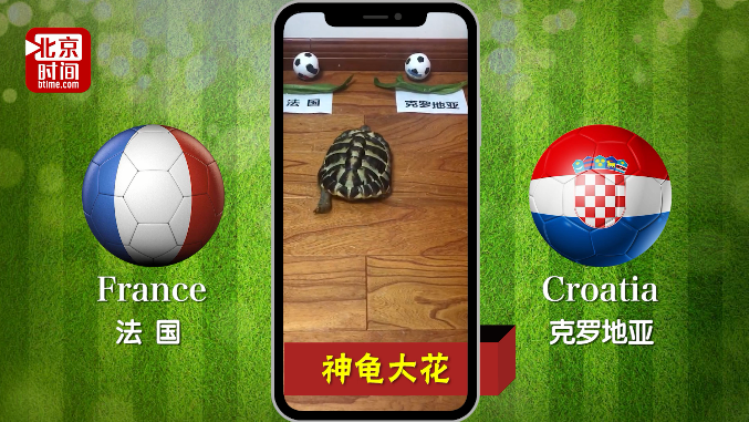 世界杯神龟疯狂预测：“高卢雄鸡”再登世界之巅