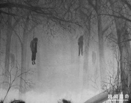 探秘诡异的日本自杀森林:每年有不少人来此自杀