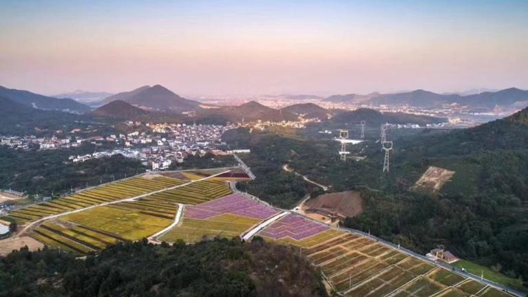 宝藏田野丨如何推进乡村振兴?这里有浙江答案 宝藏田野丨如何推进乡村振兴?这里有浙江答案