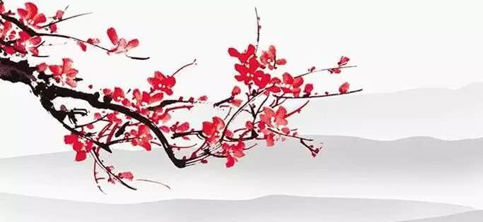 苔与护士:白日不到处,青春恰自来