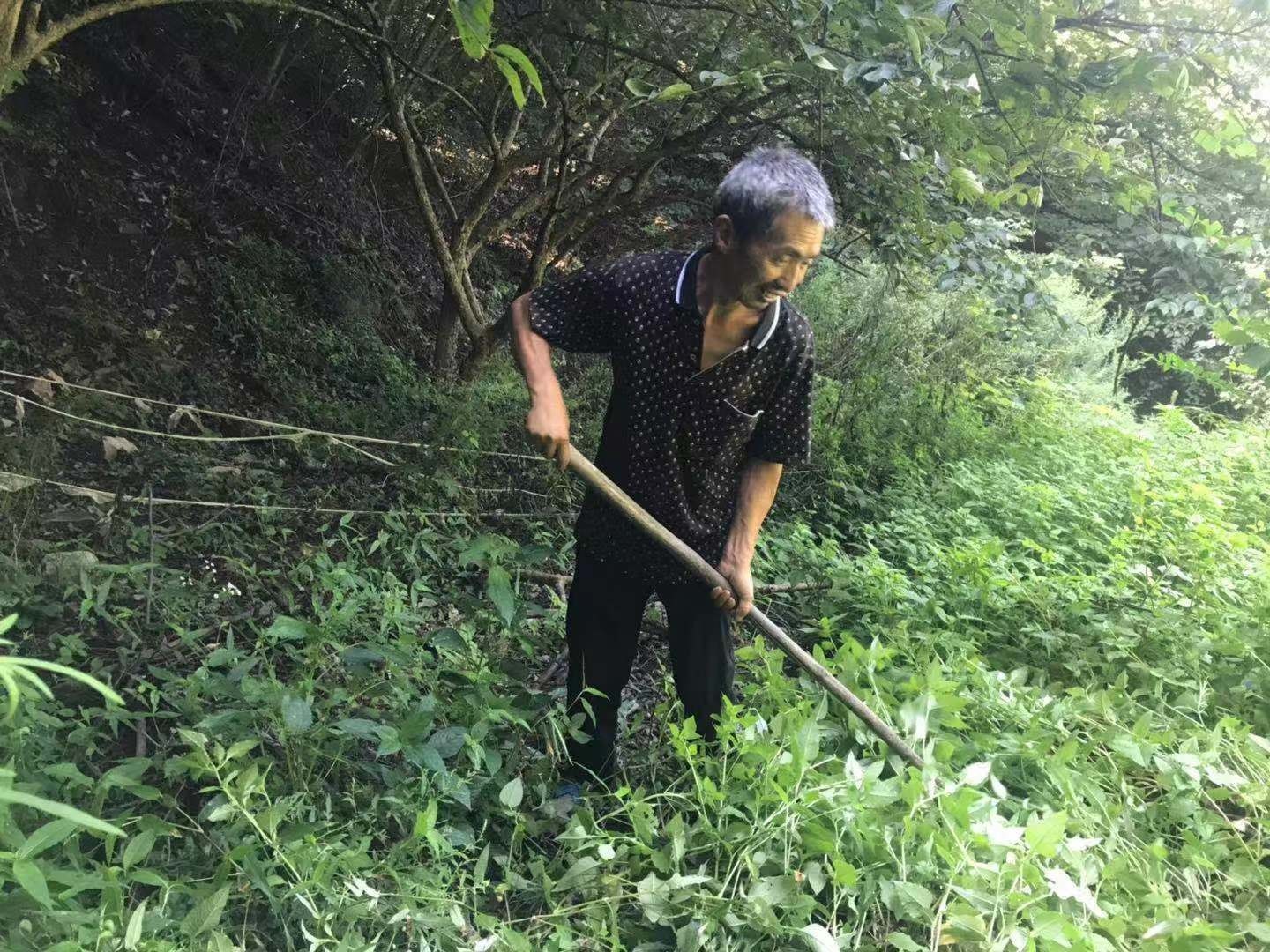 西峡县桑坪镇 贫困户郑副强的“夜生活”(图1) 西峡县桑坪镇 贫困户郑副强的“夜生活”(图1)