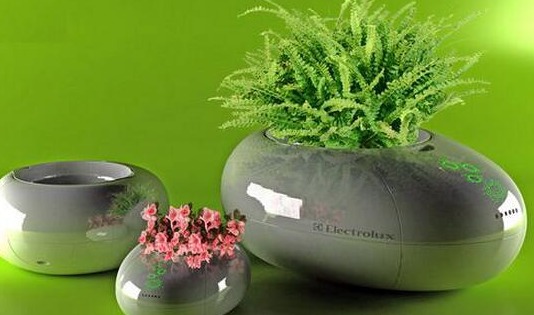 小盆景做出了大市场,农民靠摆弄花草制作盆景