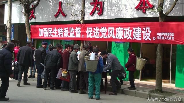 年末村长选举新政出台了,农民纷纷点赞,一些人