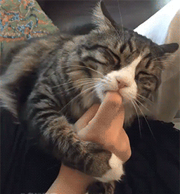 256_276gif 动态图 动图