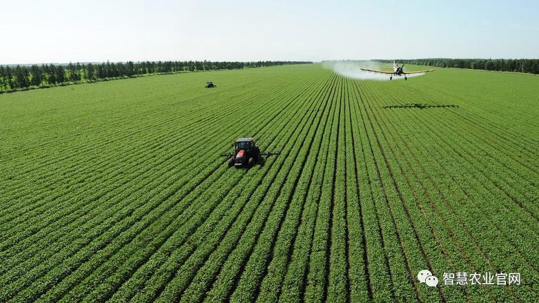 智慧农业对比传统农业生产,蔬菜无需栽种于土壤,甚至无需自然光,产量