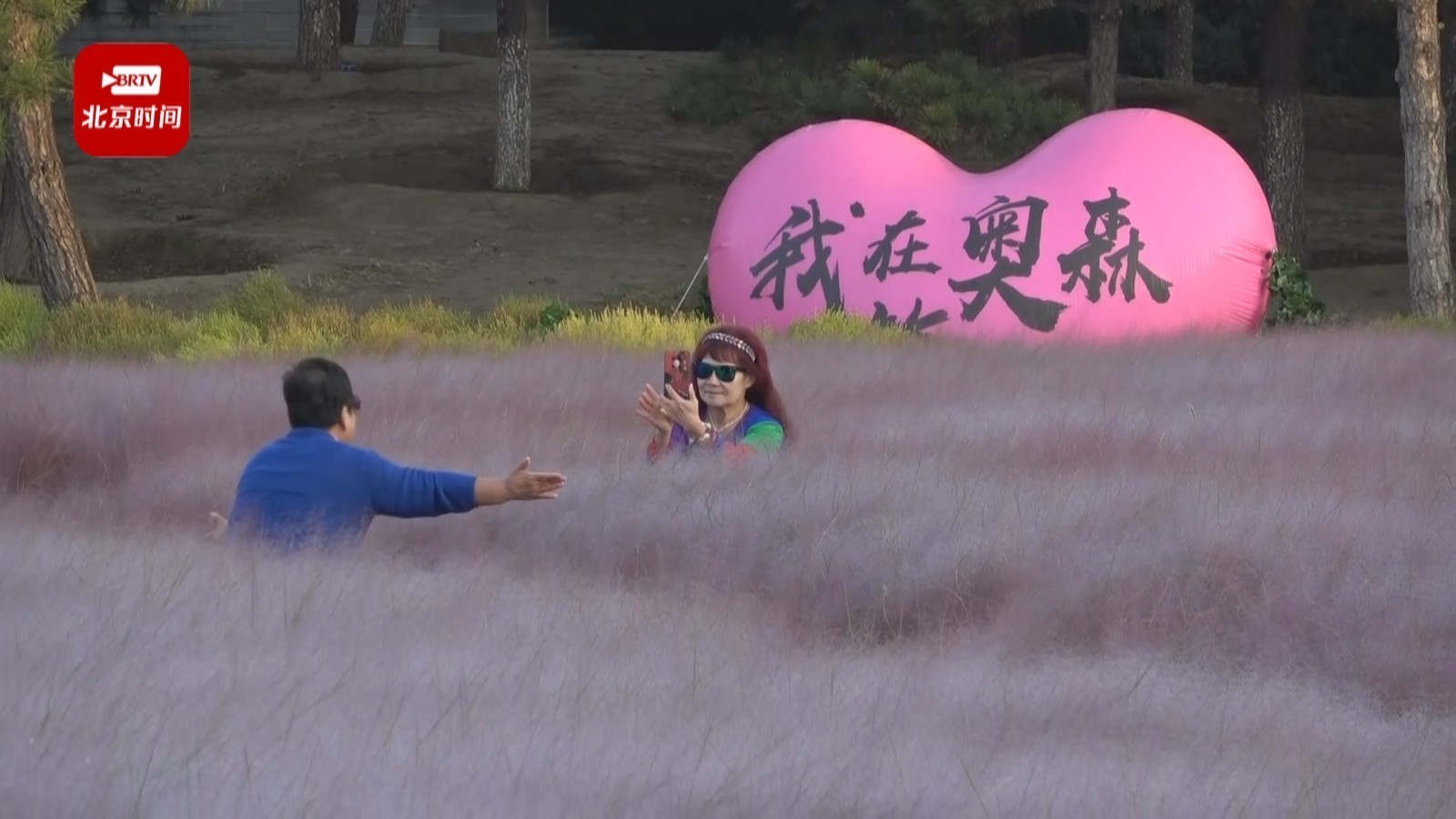 打卡新晋网红地！浪漫花海粉黛草亮相奥森