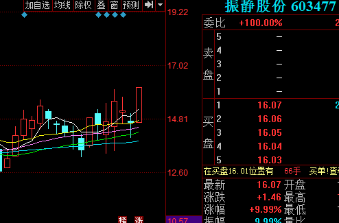振静股份603477股票行情分析 短线多头持续发
