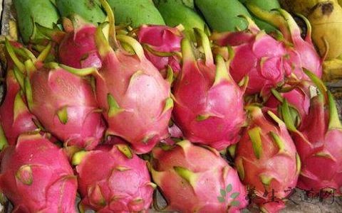 晚上吃火龙果好吗