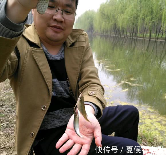 农村河里的垃圾鱼,色彩鲜亮但是无法养殖,生